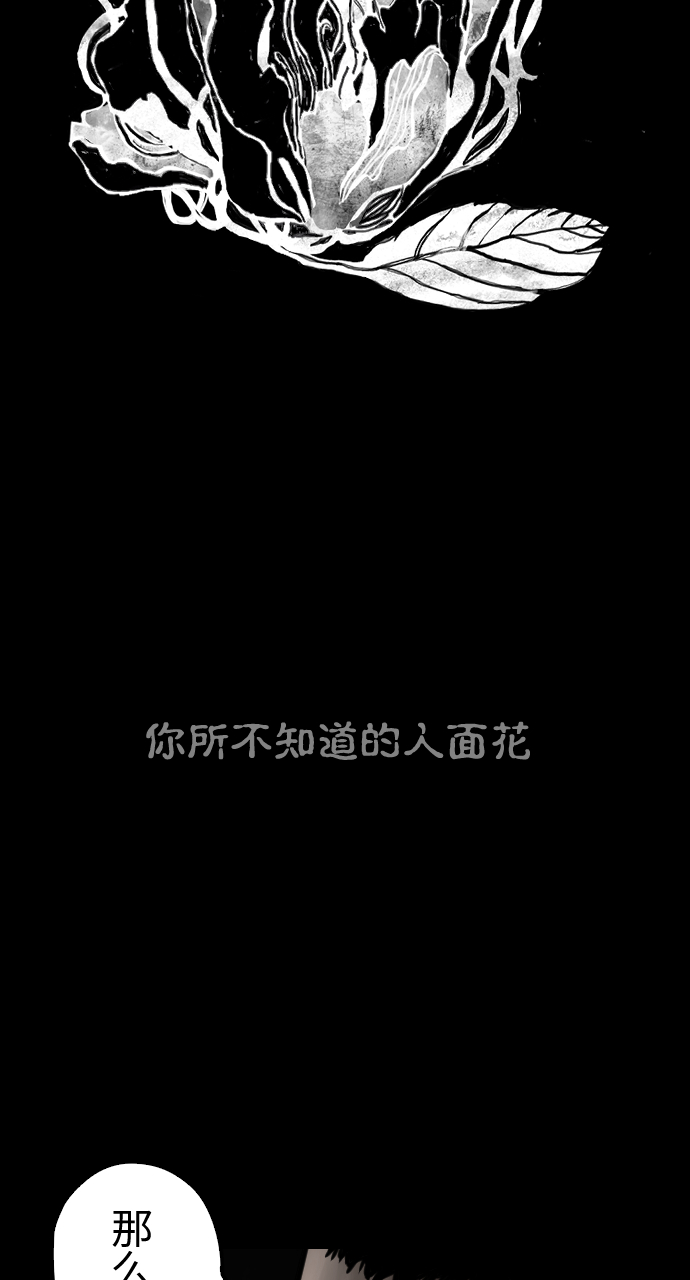 章节图片